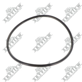 5000119329 - O Ring