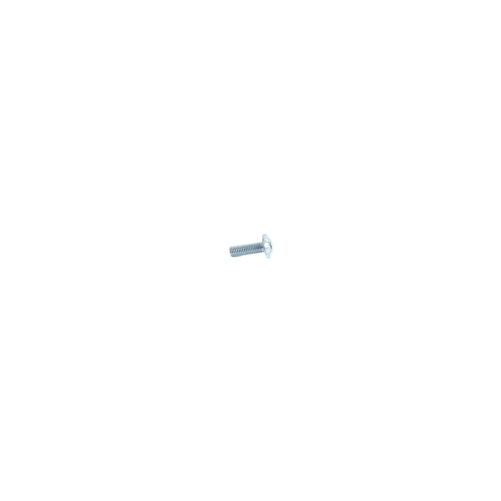 5100011581 - Screw