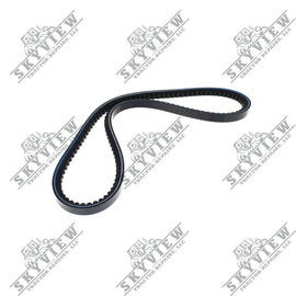 5100031195 - V Belt