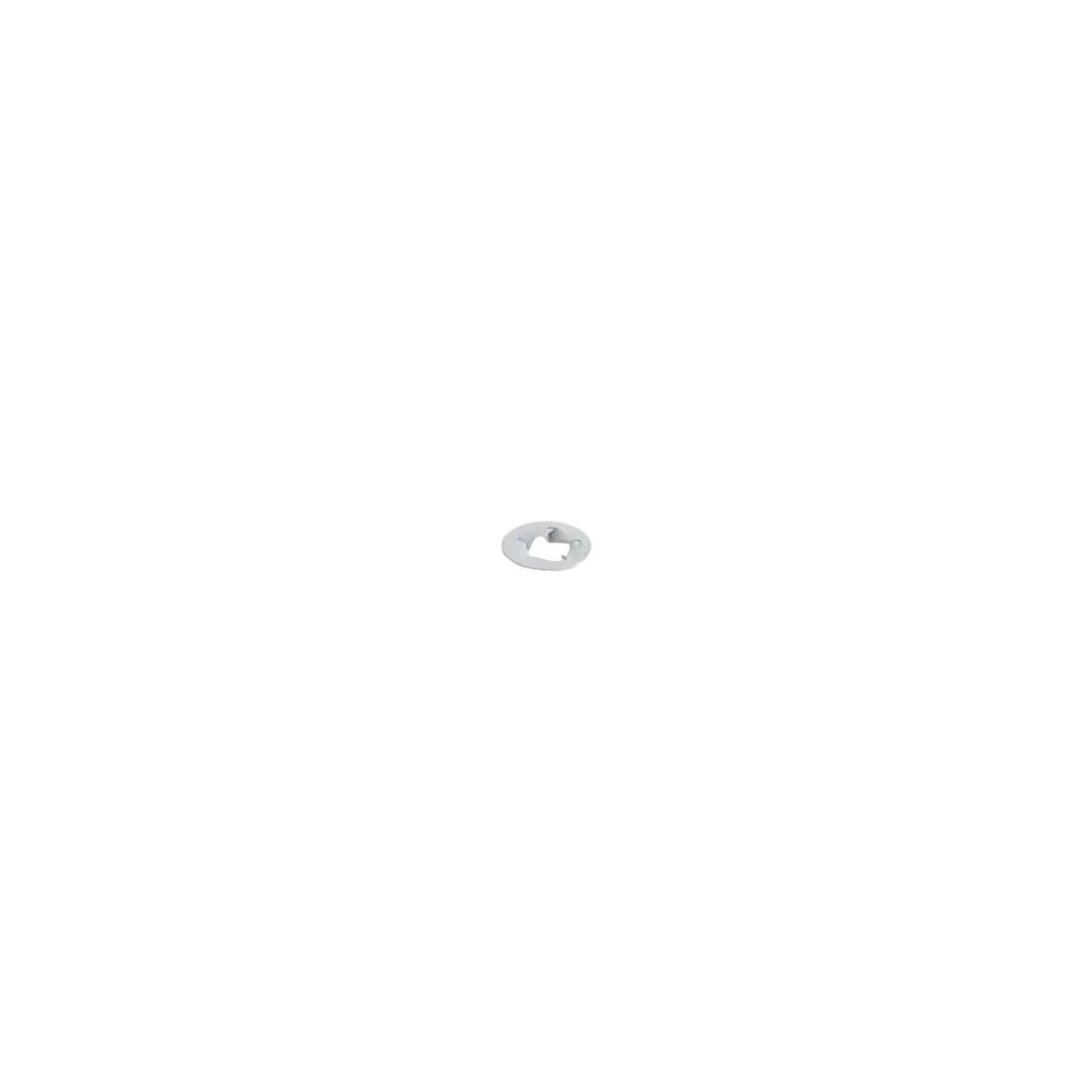 5200003962 - Retaining Washer