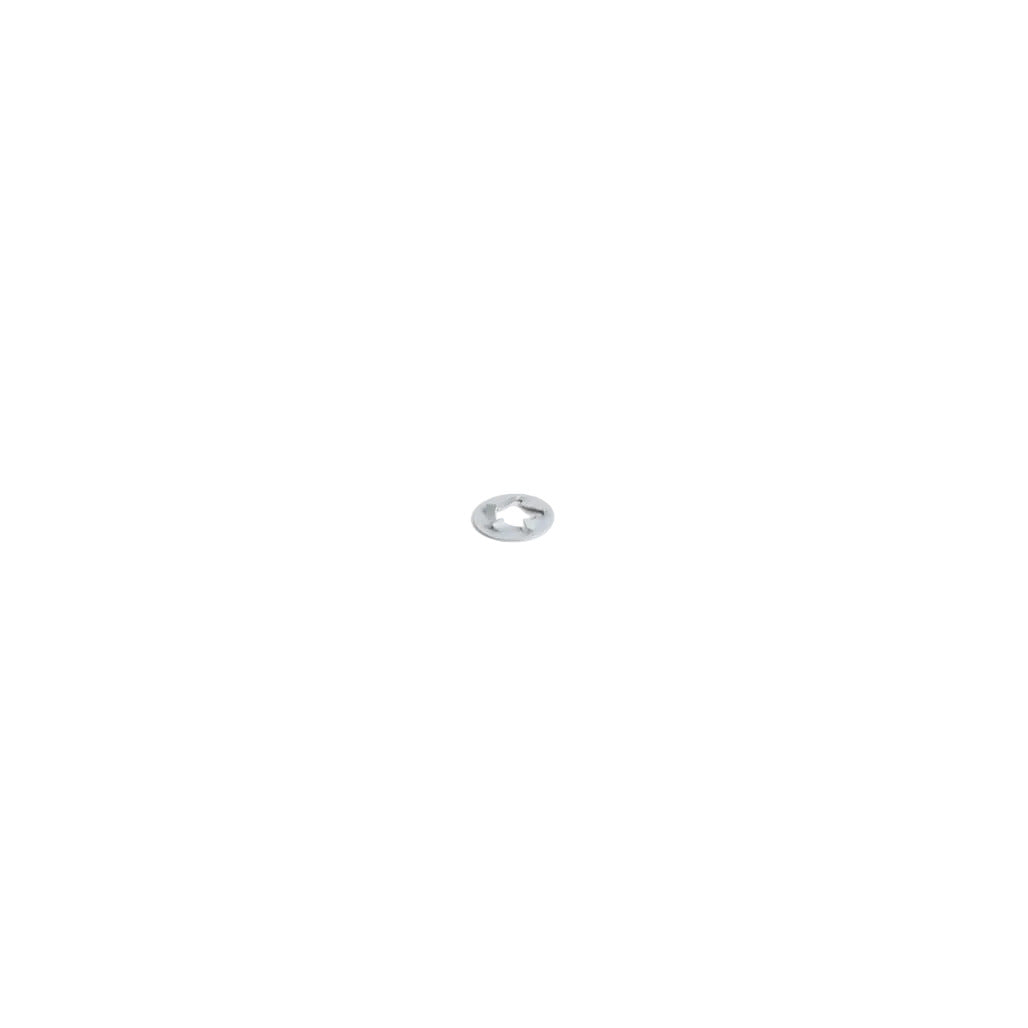 5200003962 - Retaining Washer