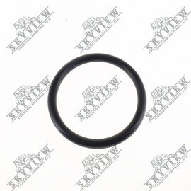 5200019861 - O Ring